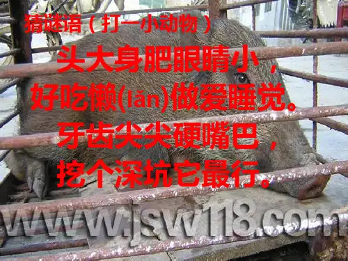 19、三个小伙伴