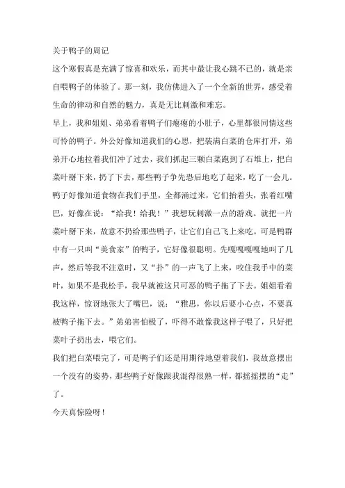 关于鸭子的周记