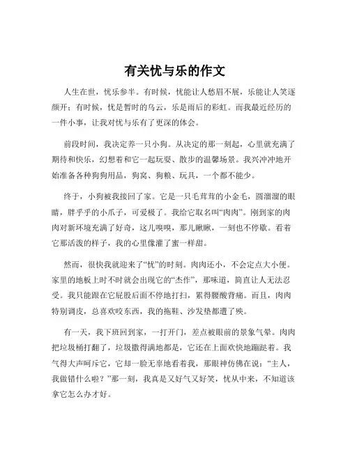 有关忧与乐的作文