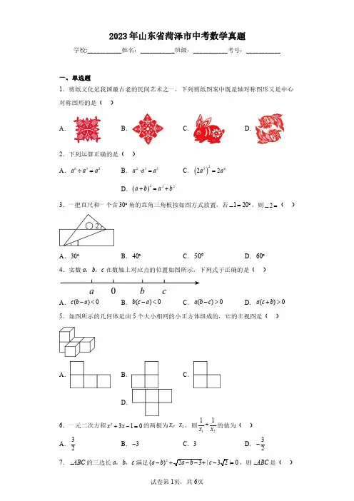 2023年山东省菏泽市中考数学真题(含答案解析)