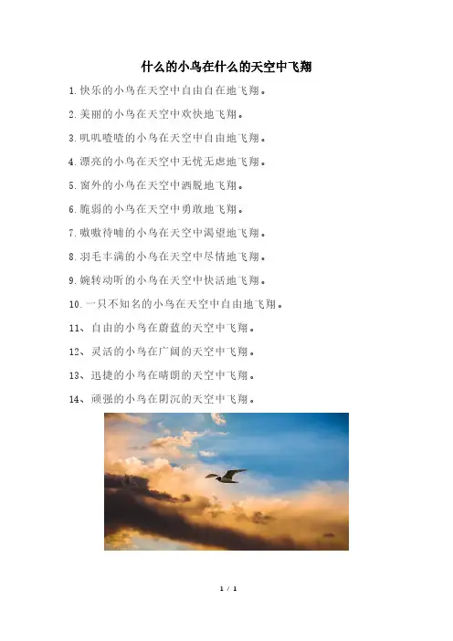 什么样的小鸟在什么样的天空中飞翔