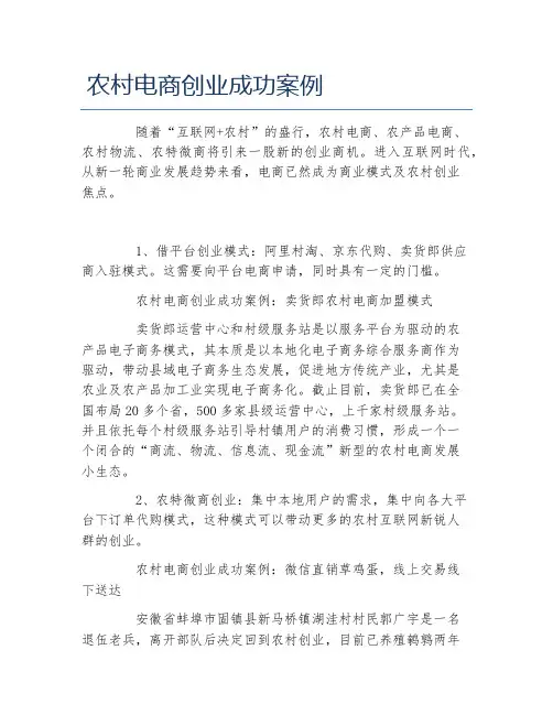 创业案例农村电商创业成功案例