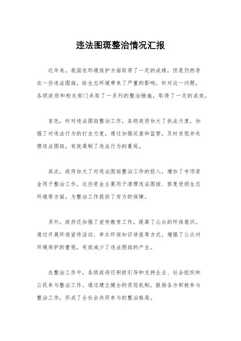 违法图斑整治情况汇报