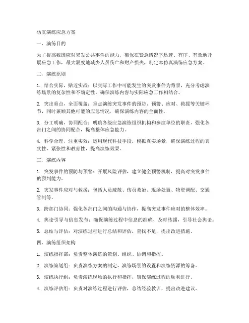 仿真演练应急方案