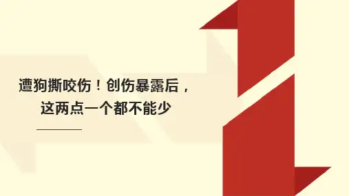 小学生安全教育主题班会 遭狗撕咬伤!创伤暴露后,这两点一个都不能少 课件(共22张PPT)