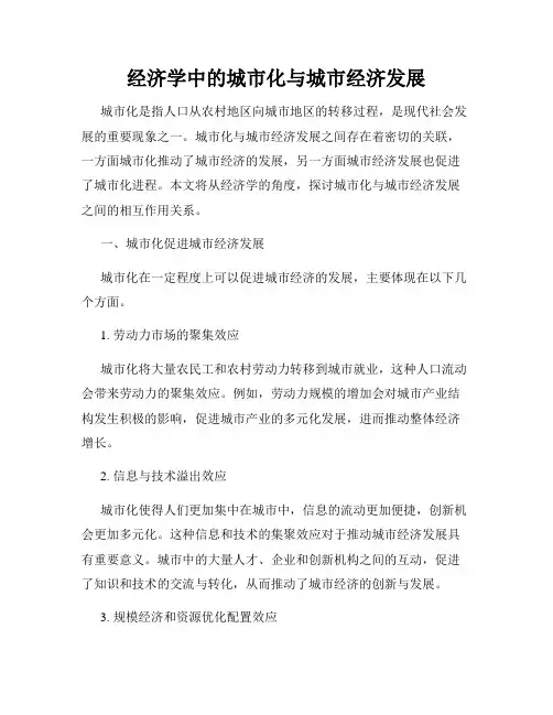经济学中的城市化与城市经济发展