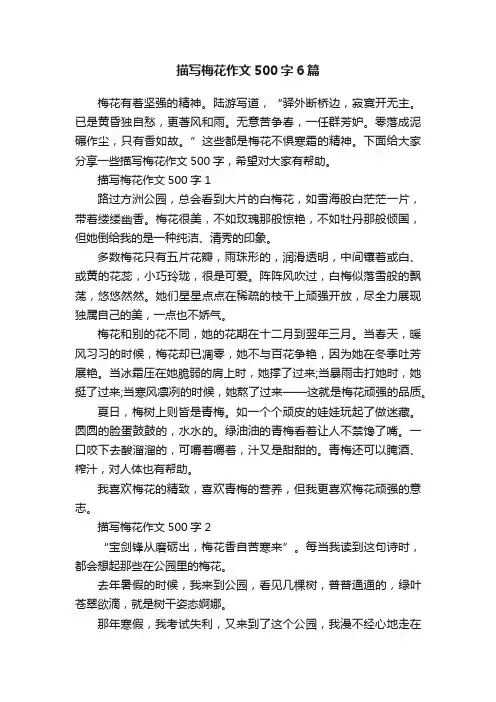 描写梅花作文500字6篇