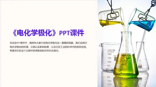 《电化学极化》课件