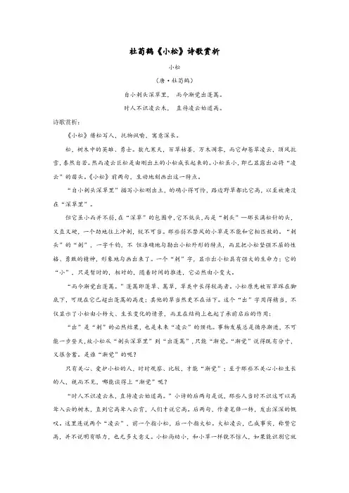 杜荀鹤《小松》诗歌赏析