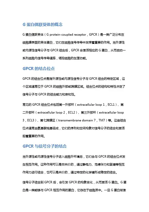 g蛋白偶联受体结合位点