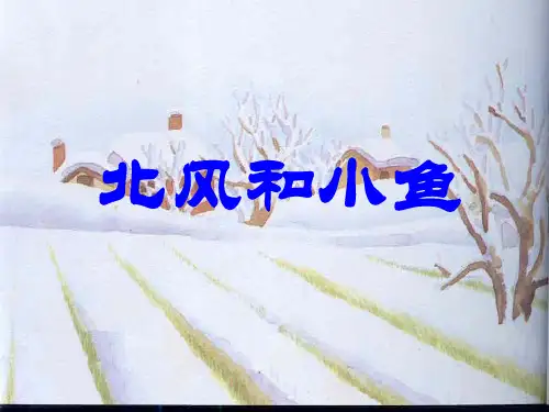 北风和小鱼PPT