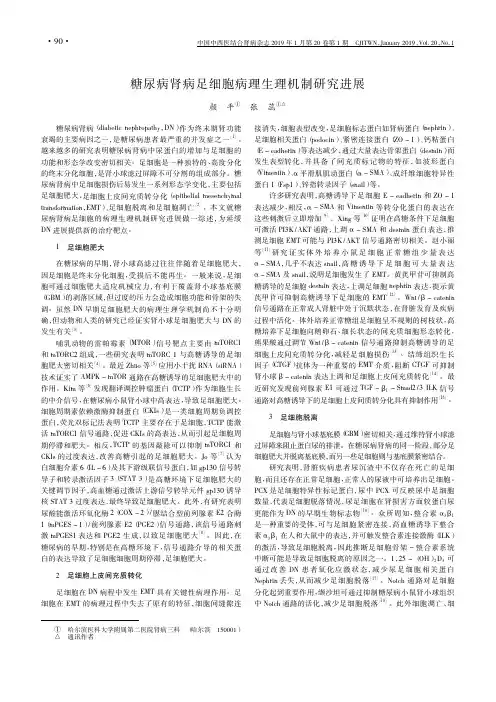 糖尿病肾病足细胞病理生理机制研究进展