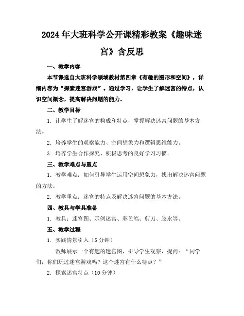 2024年大班科学公开课精彩教案《趣味迷宫》含反思