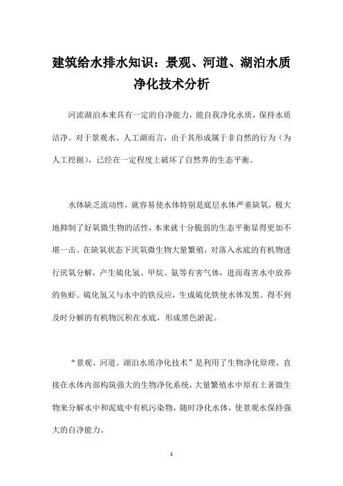 建筑给水排水知识：景观、河道、湖泊水质净化技术分析