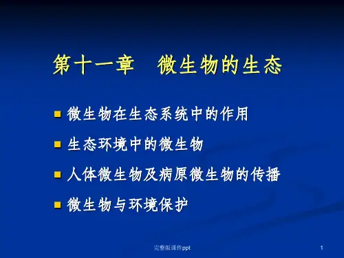 《微生物的生态》PPT课件