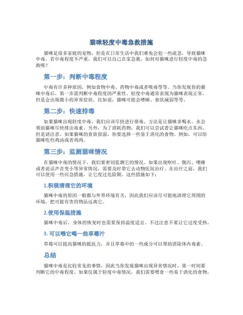 猫咪轻度中毒急救措施