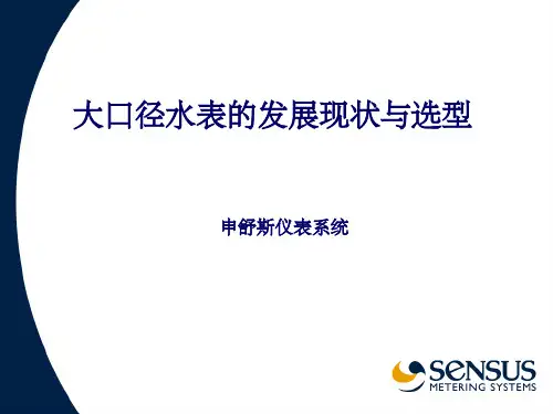 FF大口径水表的选型和使用_