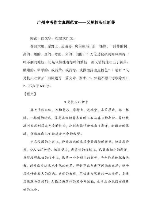 广州中考作文真题范文——又见枝头吐新芽