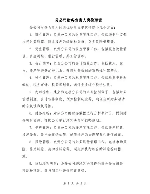 分公司财务负责人岗位职责