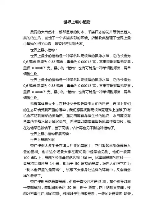世界上最小植物
