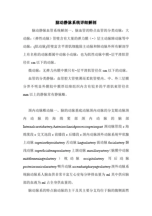 脑动静脉系统详细解剖