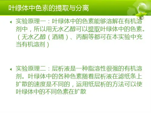 光合作用课本实验