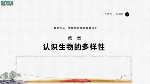 人教版生物八上 6.2 认识生物的多样性(共38张PPT)