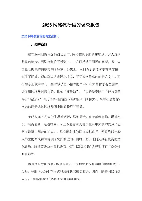 2023网络流行语的调查报告