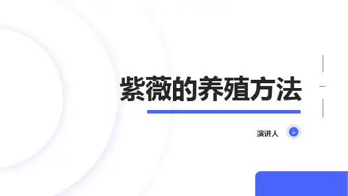 紫薇的养殖方法