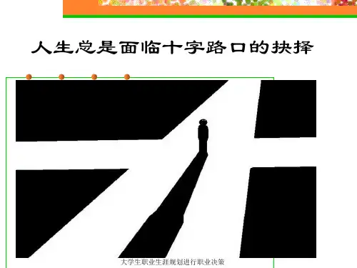 大学生职业生涯规划进行职业决策课件