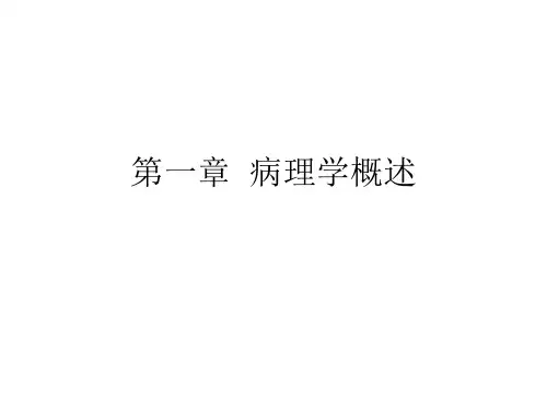 病理学概述ppt课件