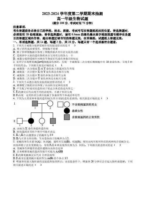 江苏省徐州市2023-2024学年高一下学期6月期末考试 生物试题 (含答案)