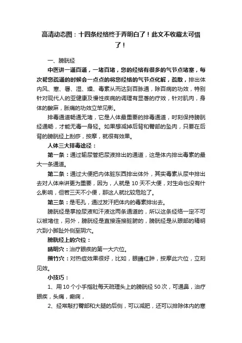 高清动态图：十四条经络终于弄明白了！此文不收藏太可惜了！