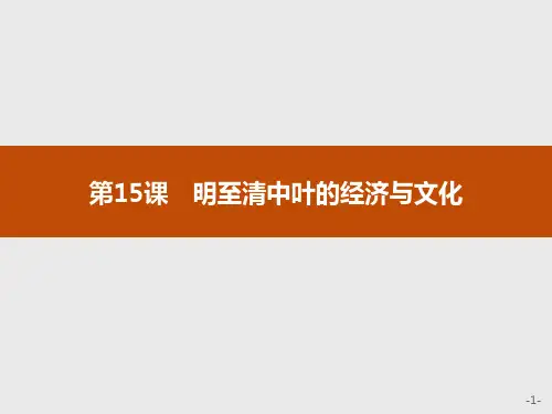 《明至清中叶的经济与文化》PPT精品课件
