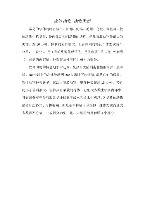 软体动物 动物类群