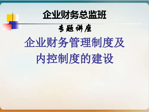 企业财务管理制度及内控制度的建设培训课程模板ppt