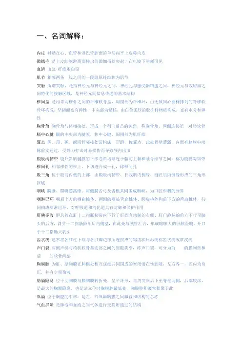人体形态学名词解释