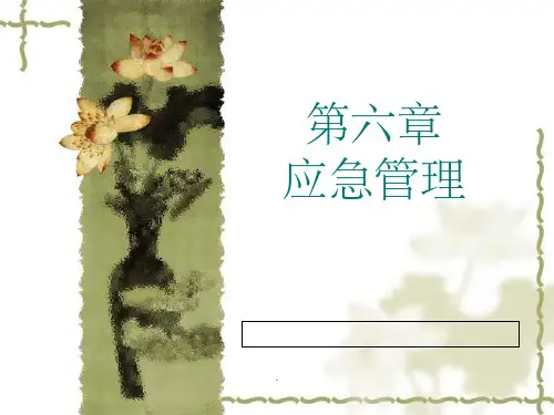 应急管理PPT课件