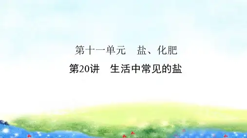 生活中常见的盐 公开课获奖课件