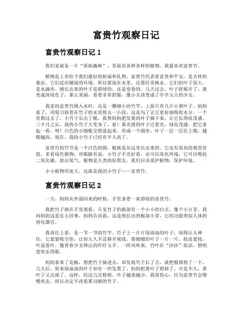 富贵竹观察日记