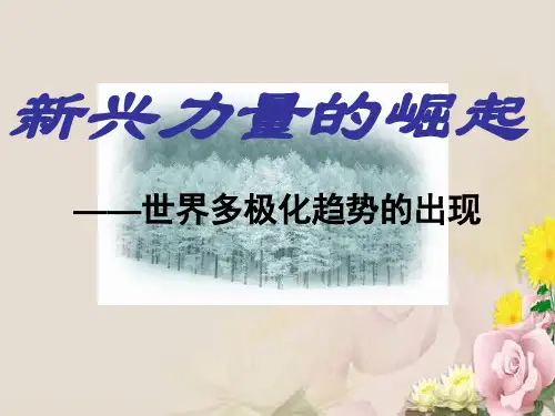新兴力量的崛起ppt18 人民版
