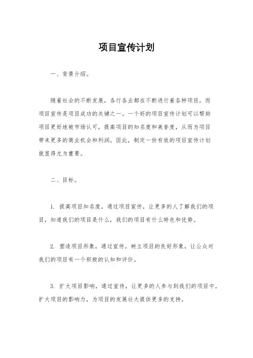 项目宣传计划
