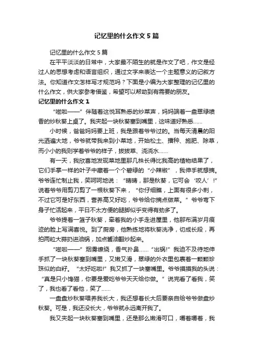 记忆里的什么作文5篇