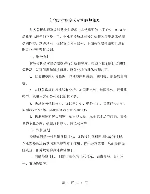 如何进行财务分析和预算规划
