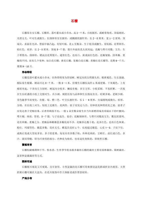 三年级语文下册 蚂蚁知识—石榴