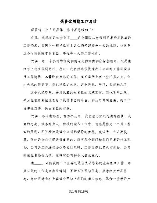 销售试用期工作总结(8篇)