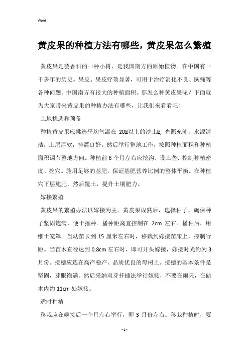 黄皮果的种植方法有哪些,黄皮果怎么繁殖