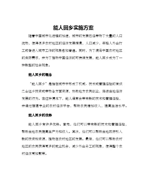 能人回乡实施方案