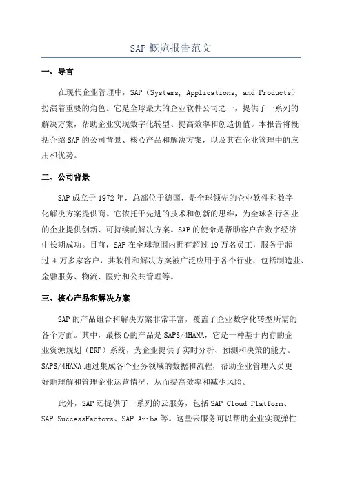 SAP概览报告范文