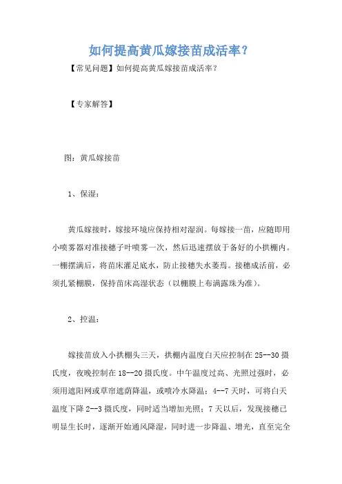 如何提高黄瓜嫁接苗成活率？